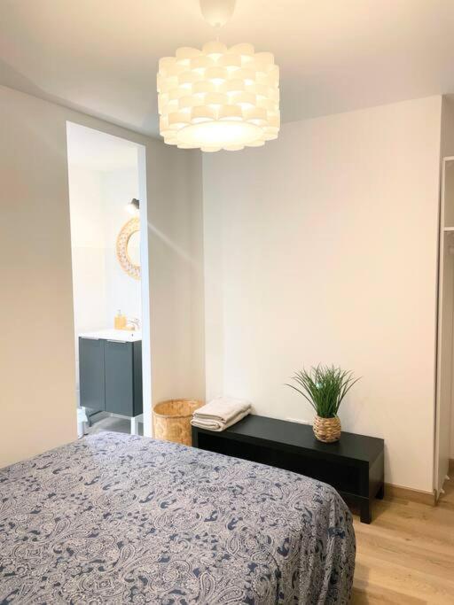 / Cocon \ Paisible Hyper Centre Rodez Apartment Екстериор снимка